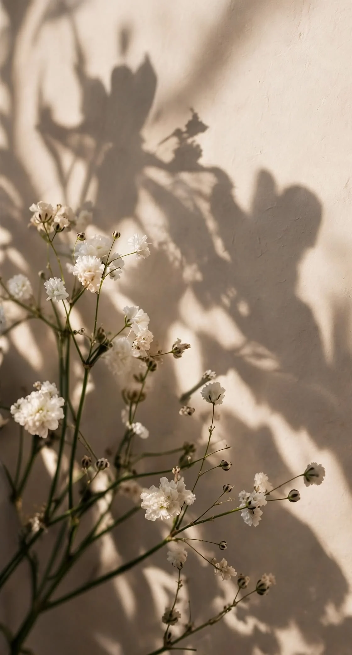 Gentle floral stems casting soft shadows on warm linen wall